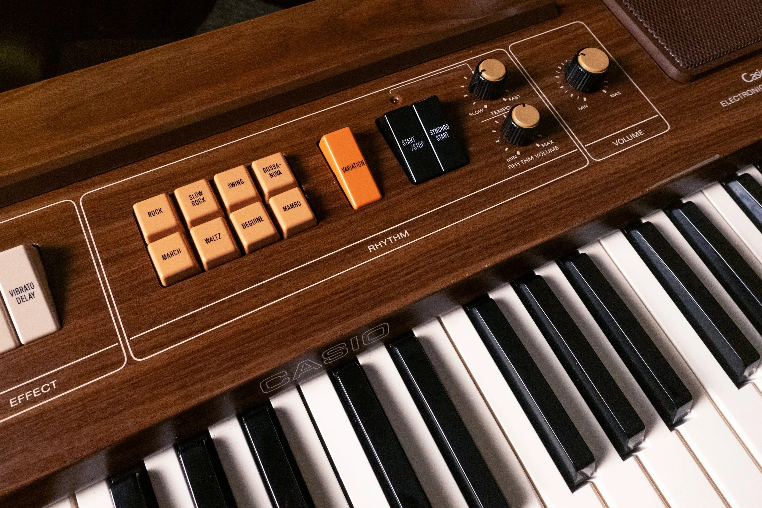 Casiotone 301