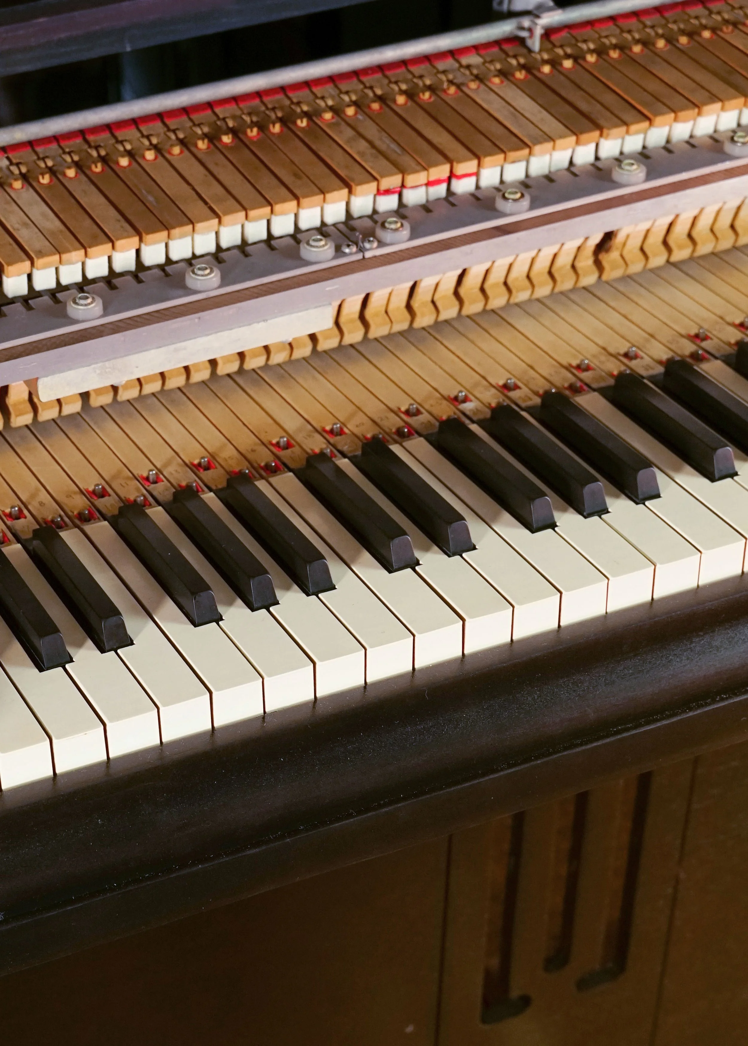 A closeup of  Wurlitzer 700 with the lid off, which shows the keys, the harp, and the dampers.