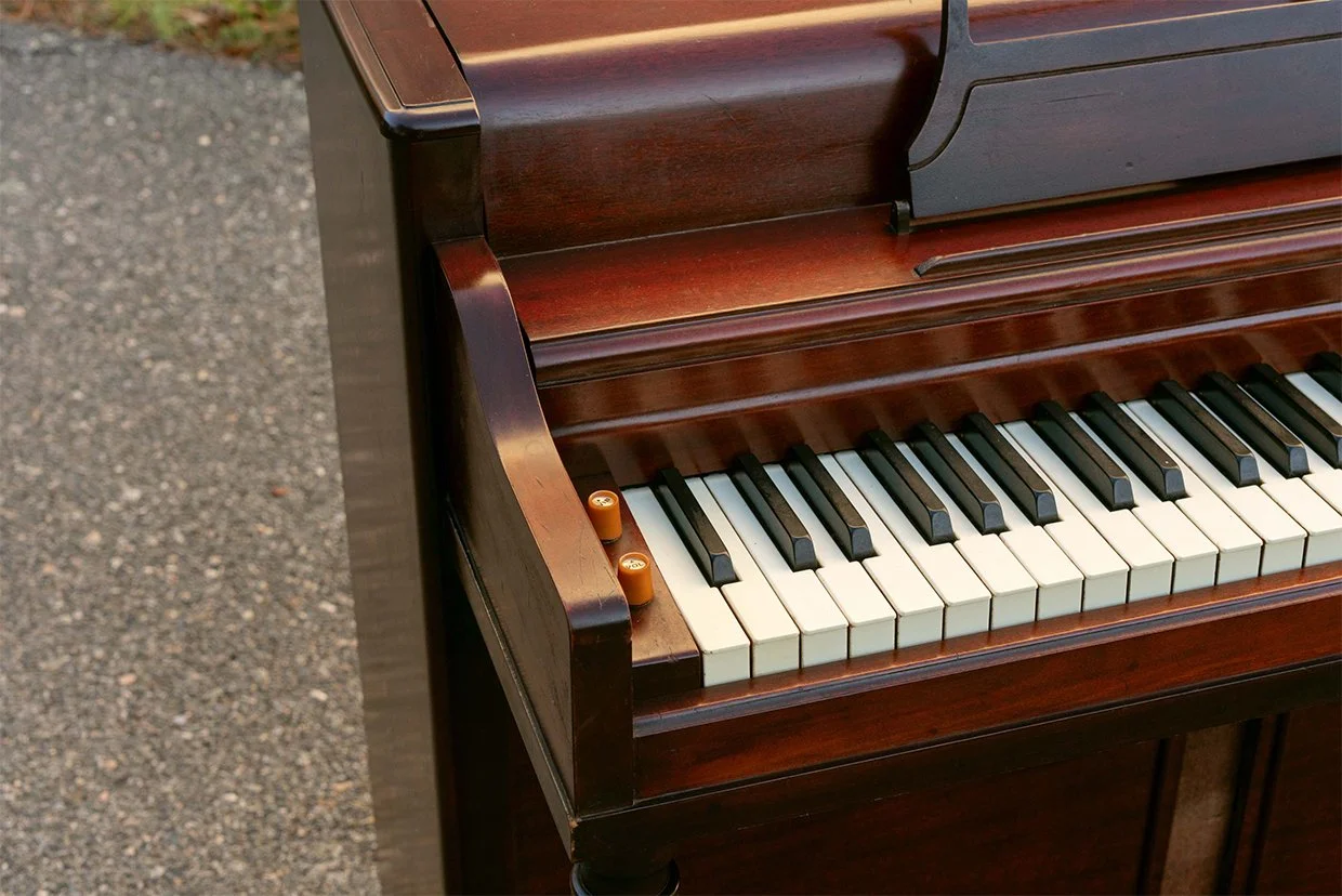 horizontal-avocado_0023_Layer 6.jpg