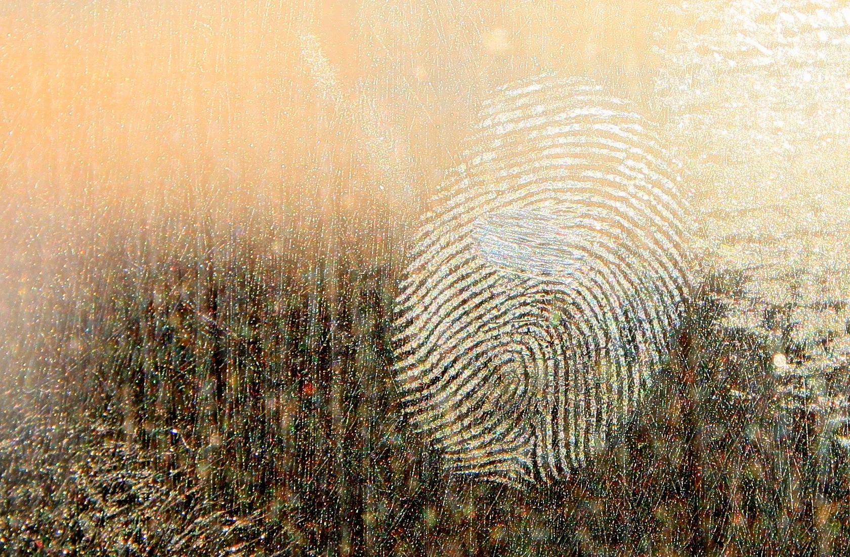 dirt-88534.jpg
