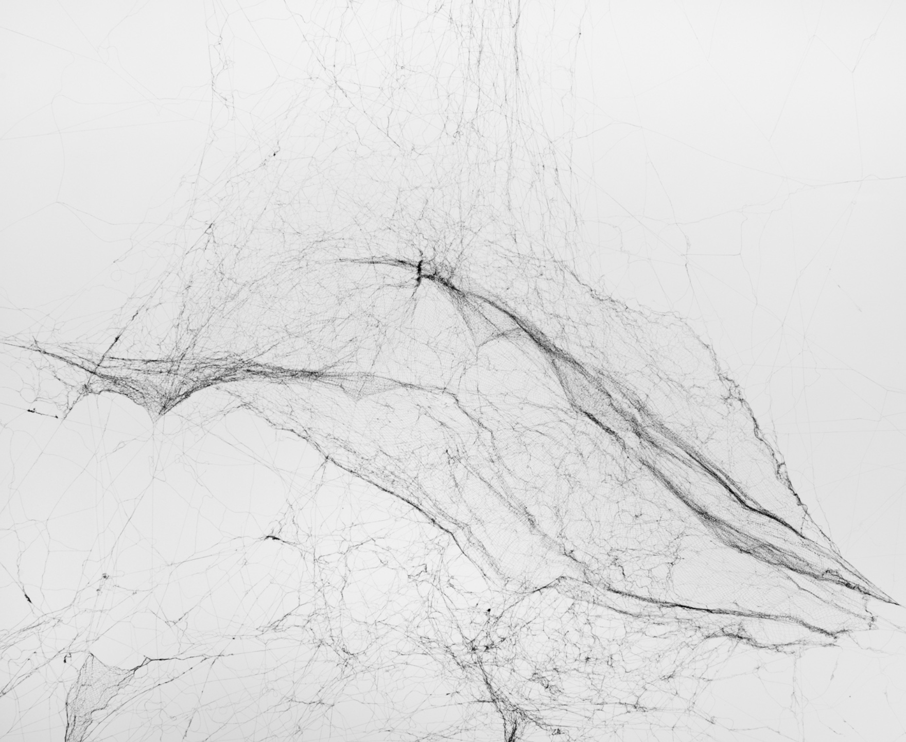 Tomás Saraceno - detail from the above work