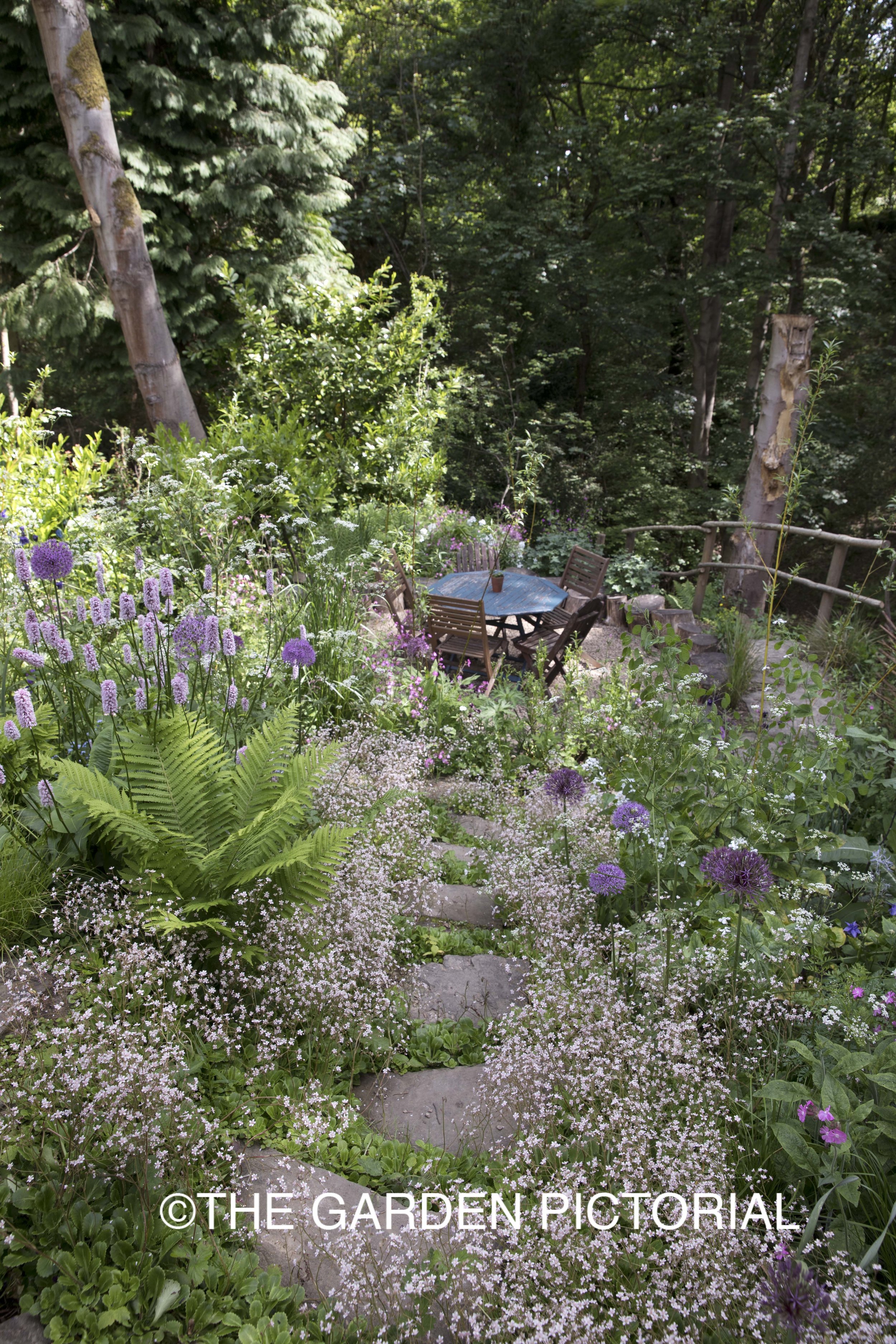 Woodland Edge Garden, Sheffield