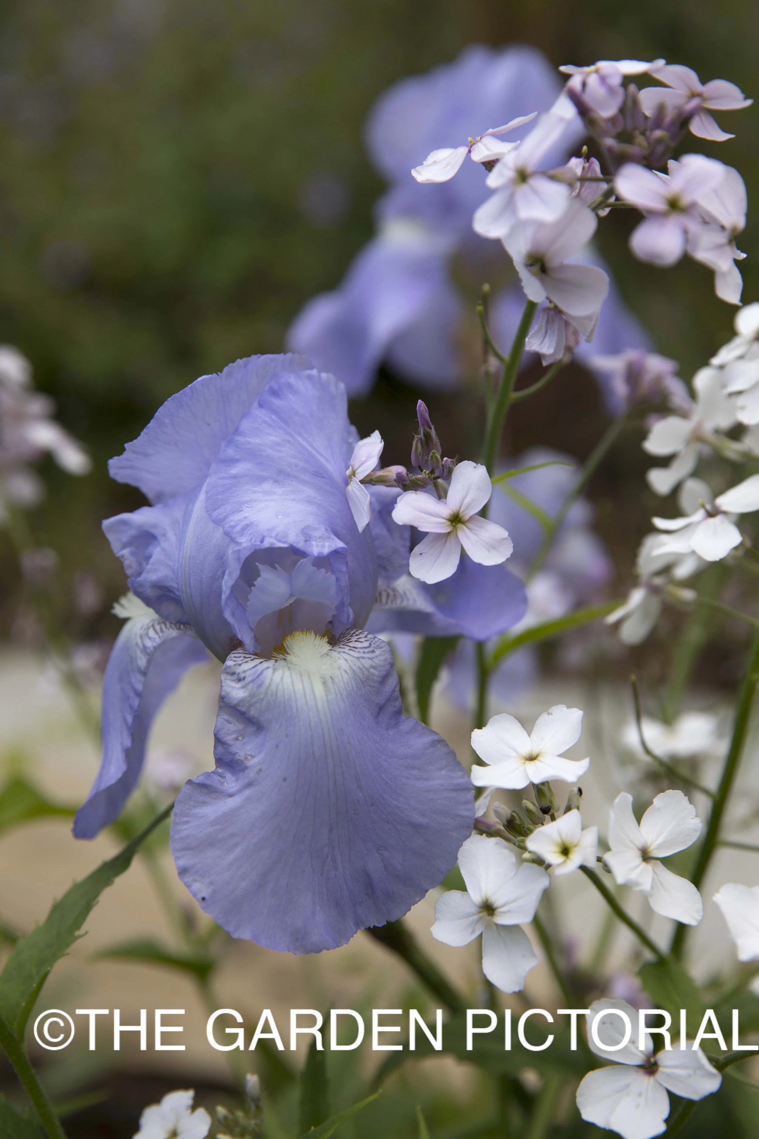 OrchardCottage_Crowborough_PP_b12.jpg