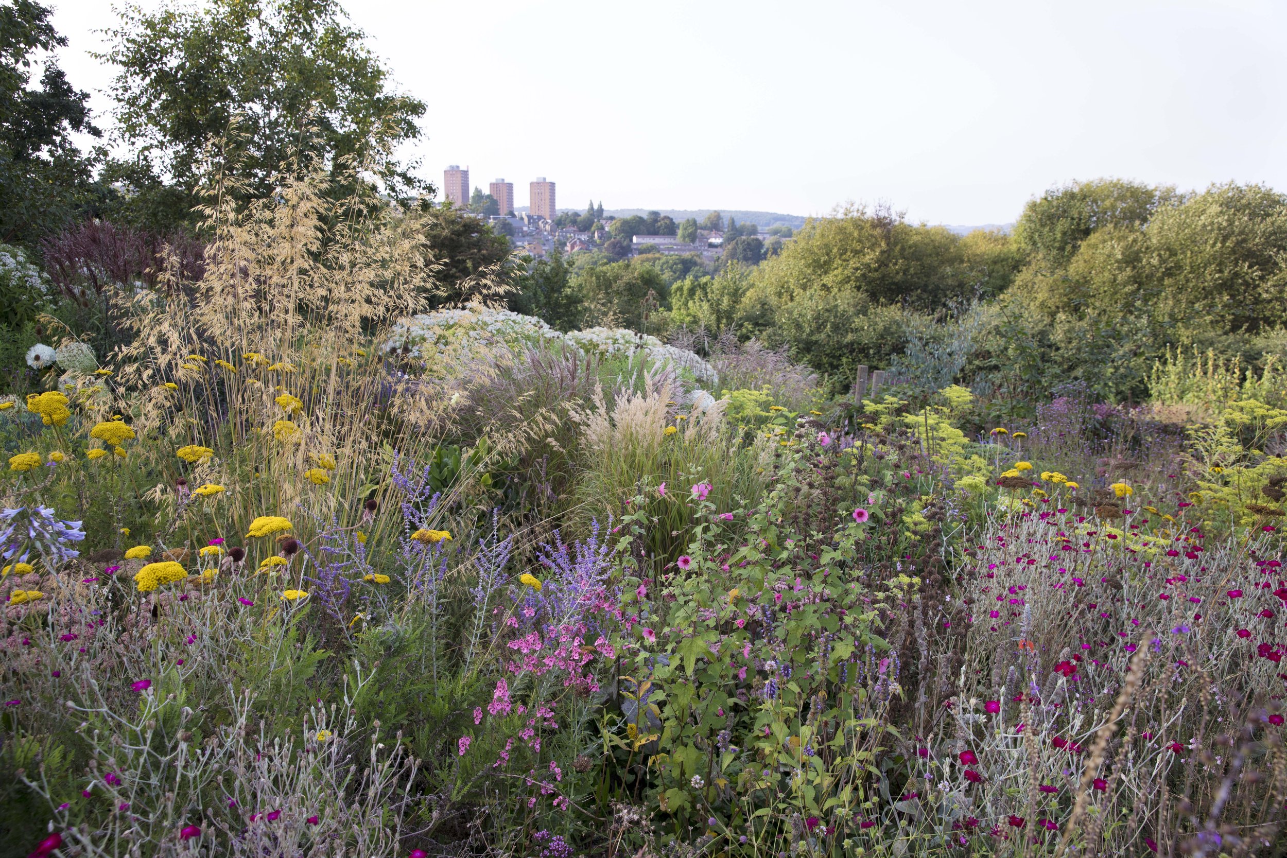 Arcadia Landscape, Sheffield