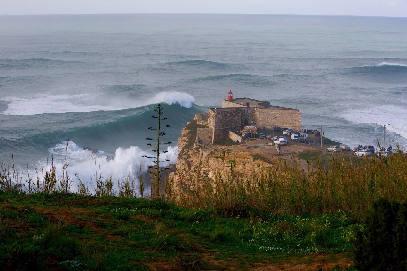 Big swell.jpg