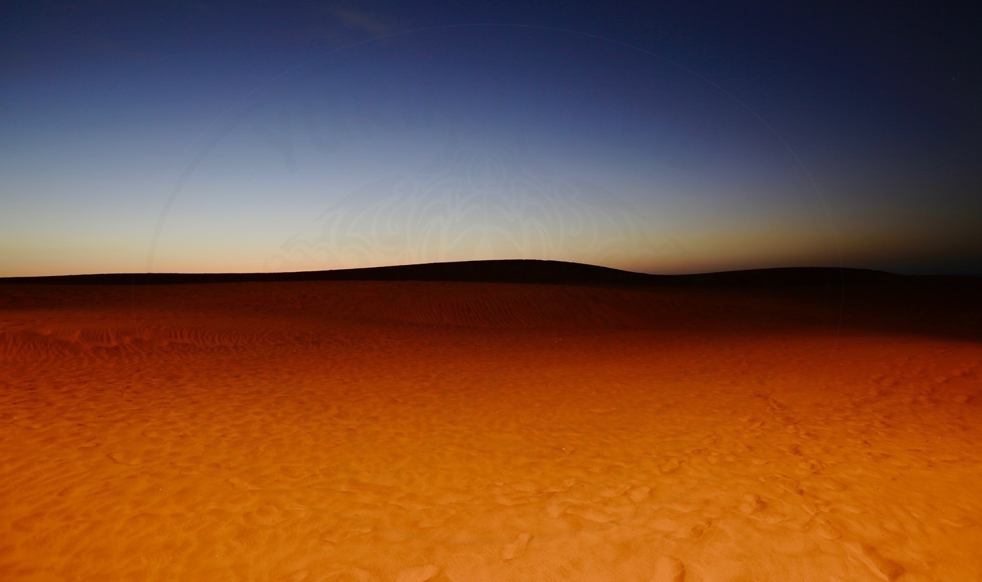 golden desert.jpg