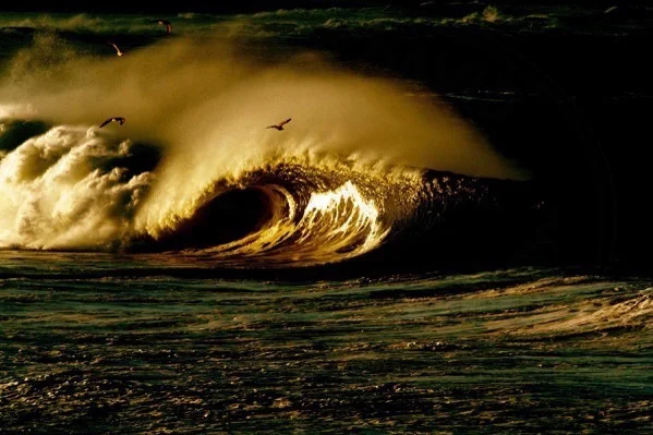wave & sunlight.jpg