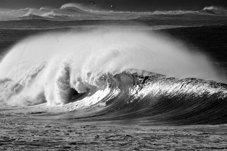 wave.jpg