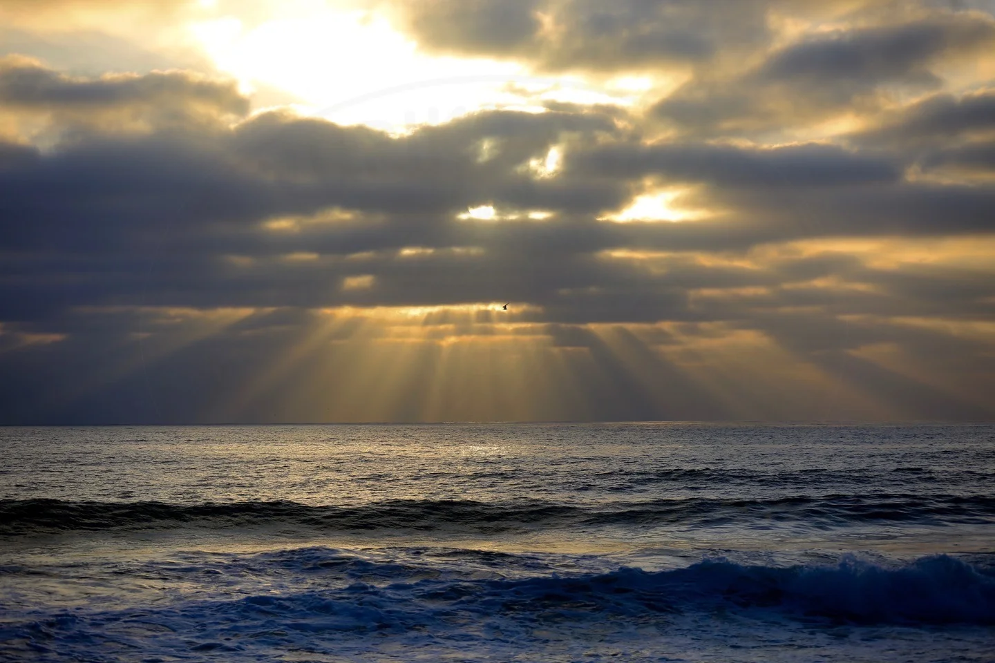 gold sky.jpg