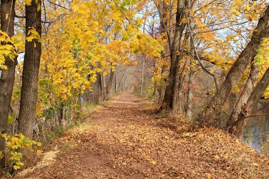 Autumn.jpg
