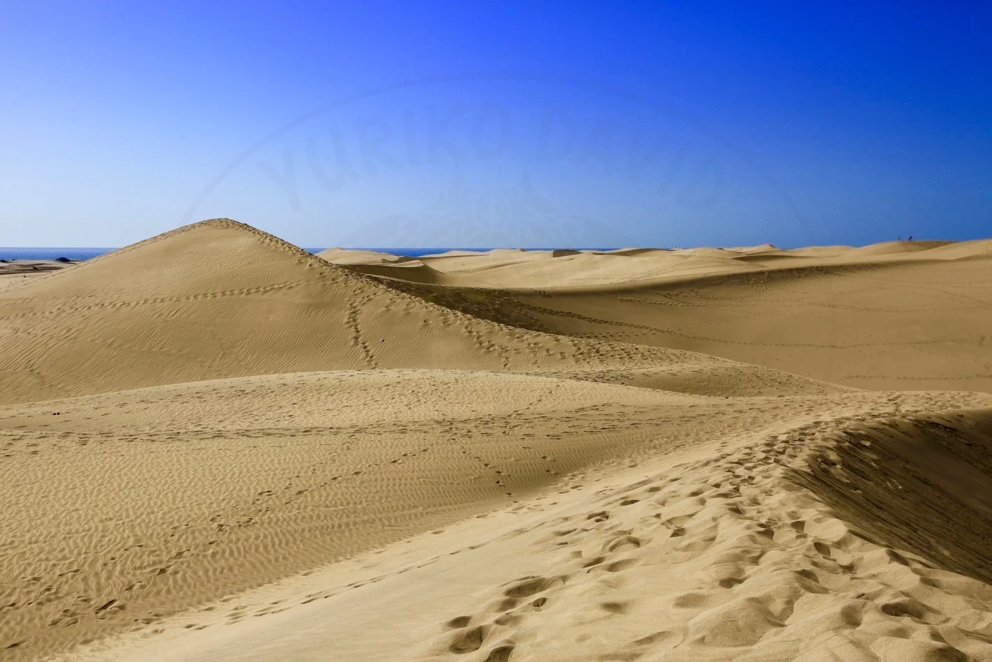 Blue Sky Gold Sand.jpg