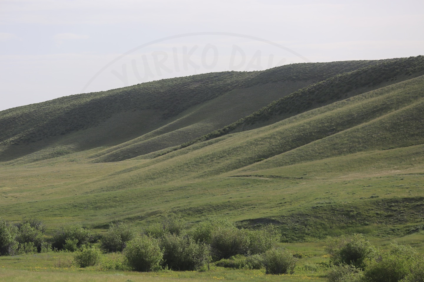 Green Mountain.JPG
