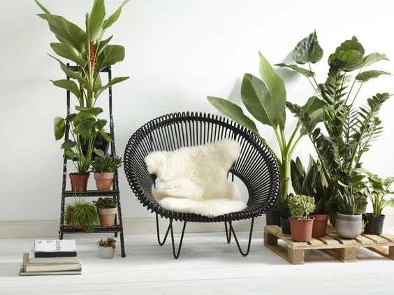 Fauteuil Vincent Sheppard