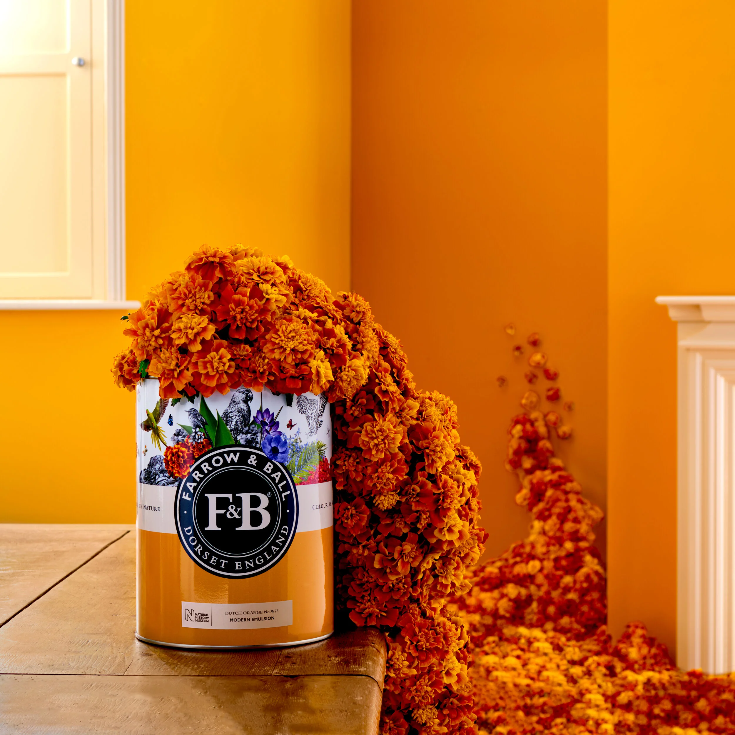 F&B_Marigolds_June20190674_R_Square copy_Extended.jpg