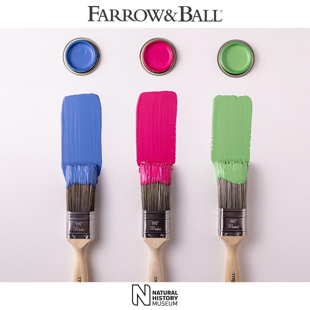 Stockist Colour reveal posts_W29_W92_W53.jpg
