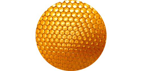 body-guard_propolis.png
