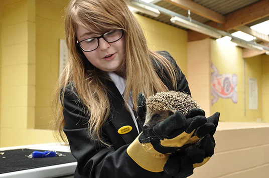 Neve looking after Harold