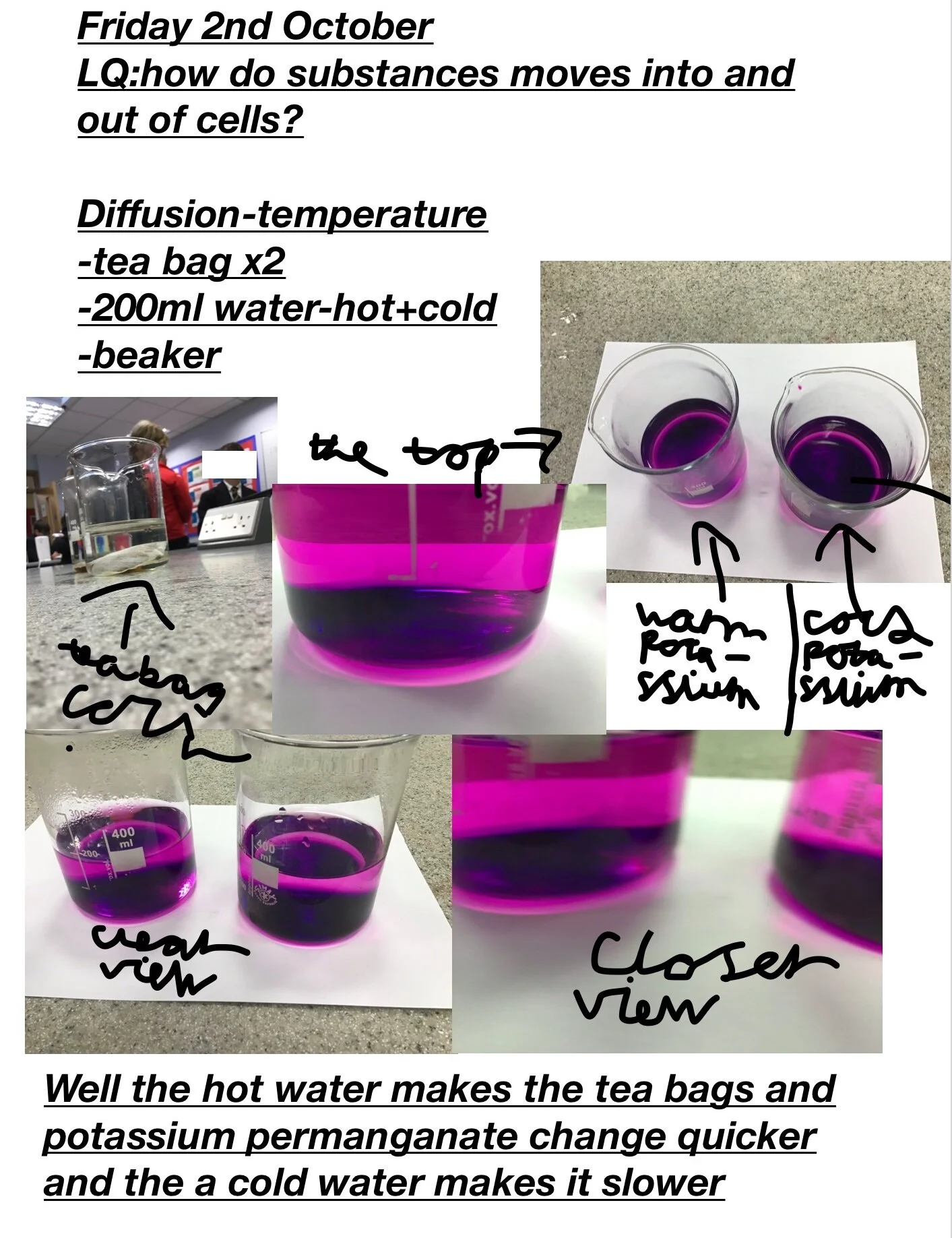 Science With Tea Bags Pool Academy