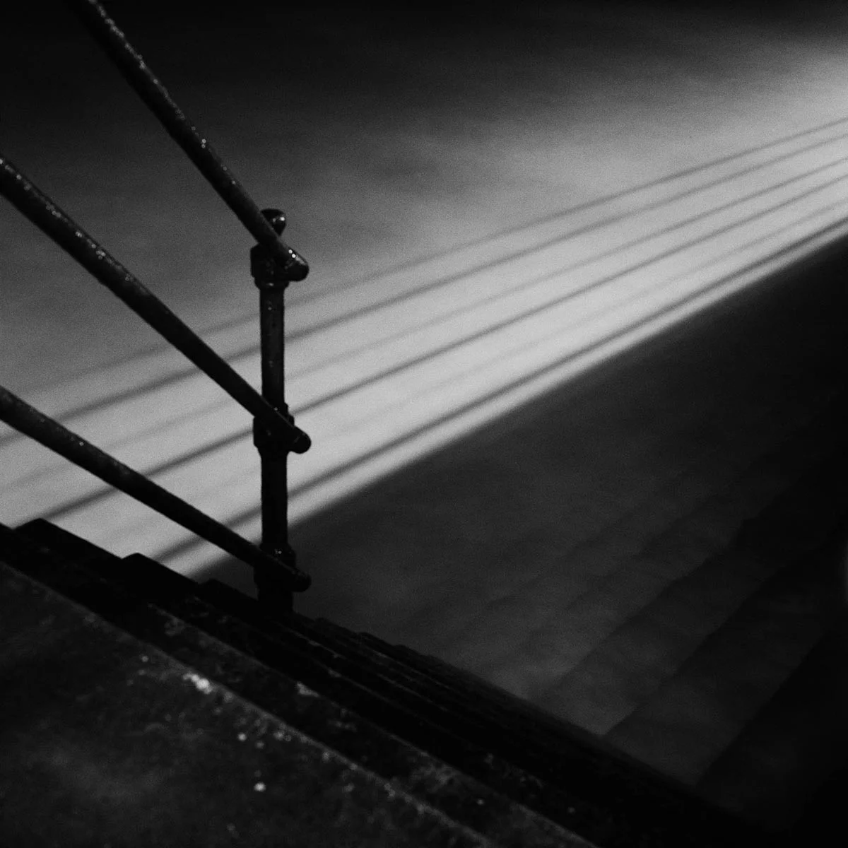 web-019.jpg