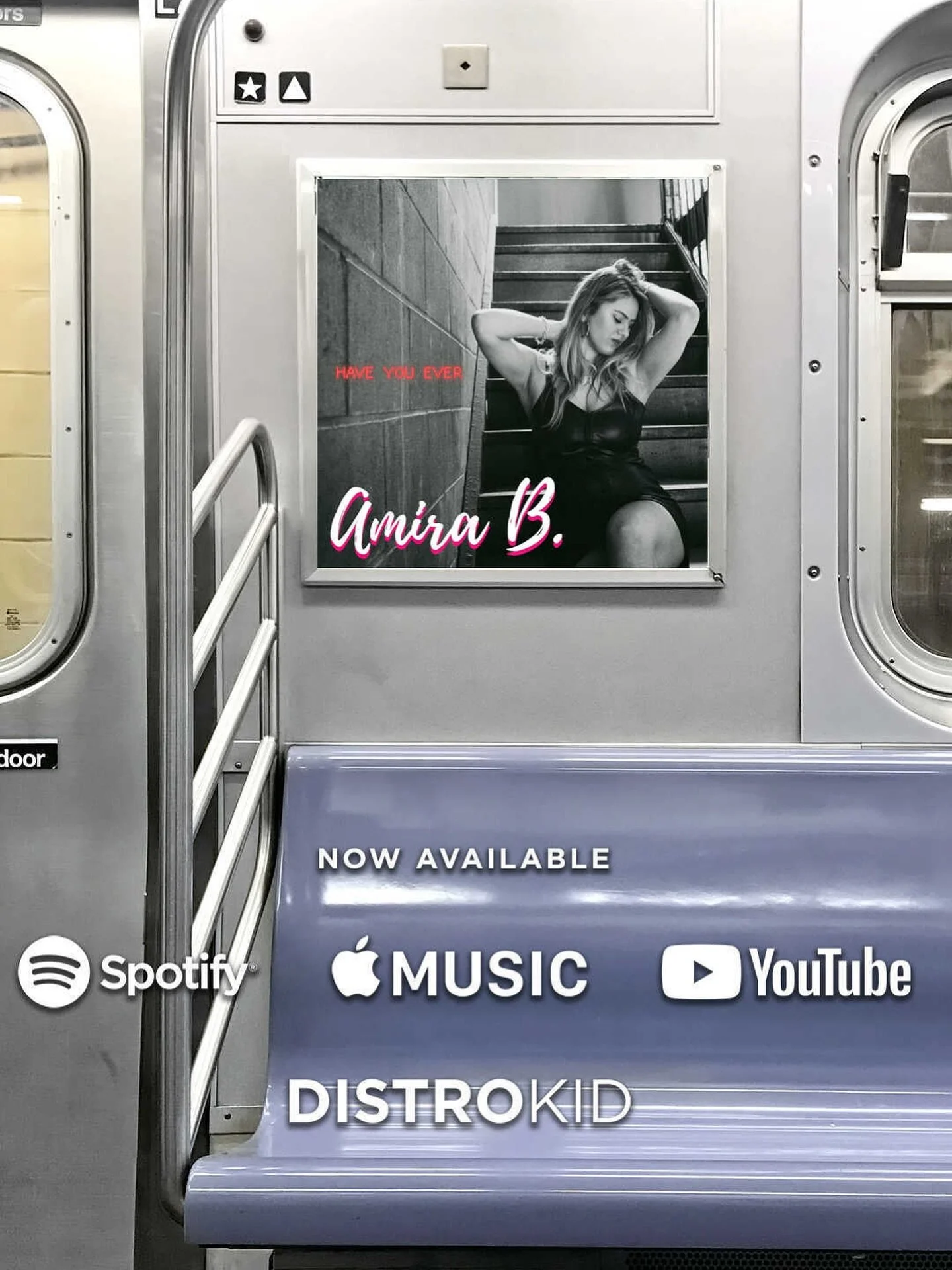 My delicate baby HAVE YOU EVER is out everywhere, including a video on YouTube at the LINK IN BIO ⬆️ ⬆️ ⬆️

#singer #songwriter #jazz #contemporaryjazz #souljazz #love #live #music #nyc #recording #producer #amirabmusic