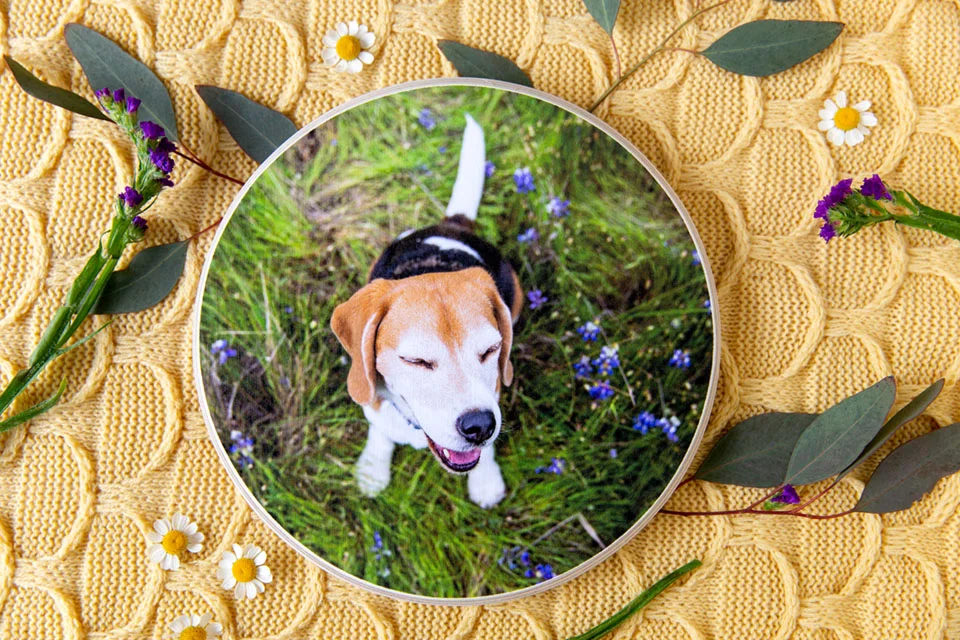 8" Round Birchwood Fine Art Print available in the "Popular" Package. 