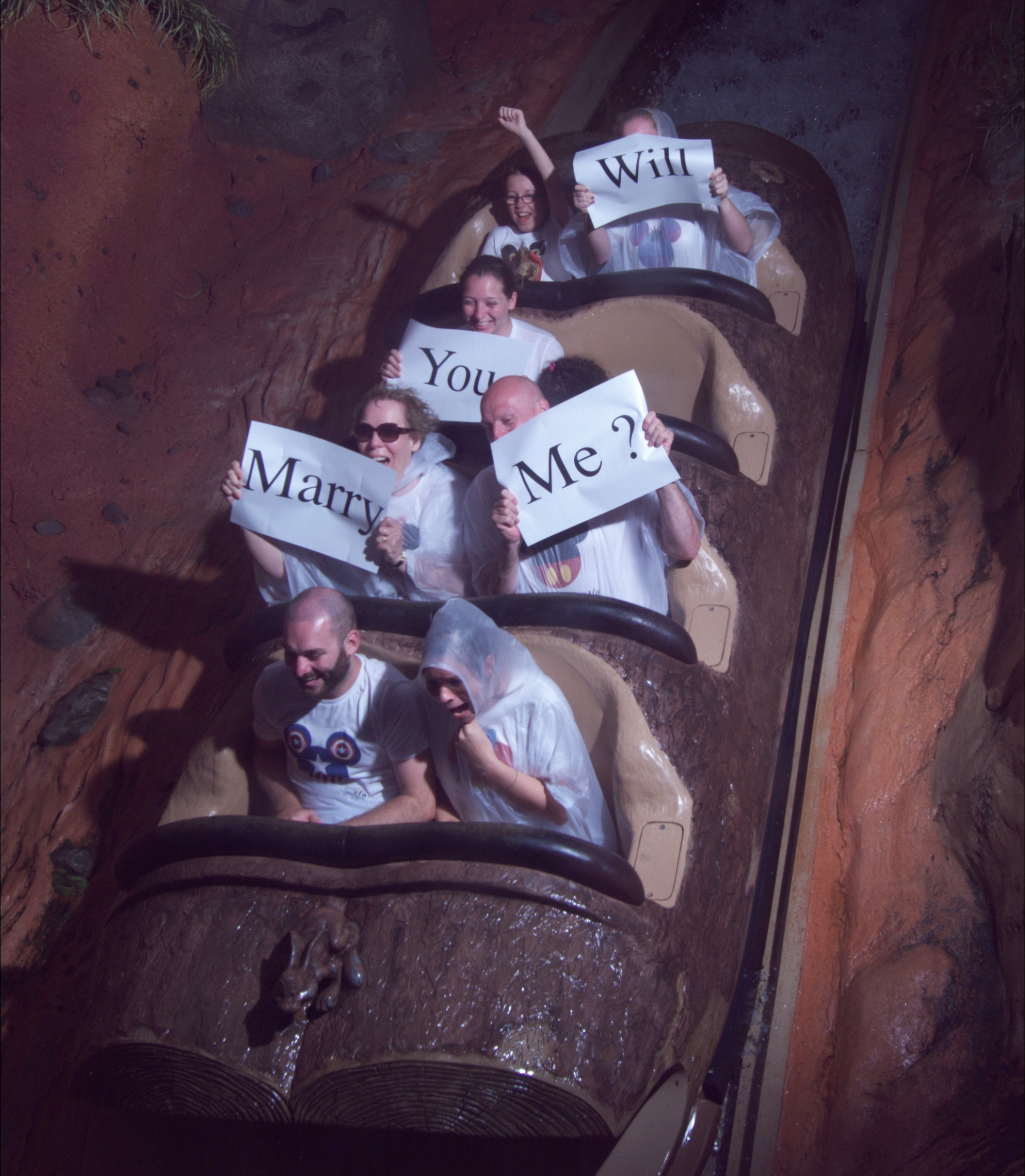 Lewis took the plunge with his unique proposal. 