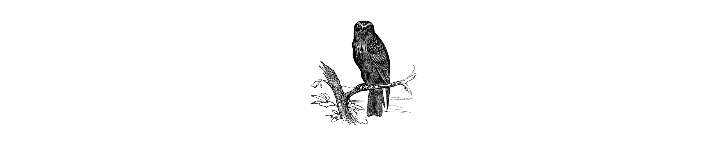 Falcon 2018