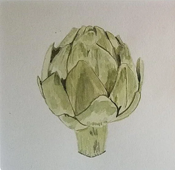 artichoke watercolor.jpeg