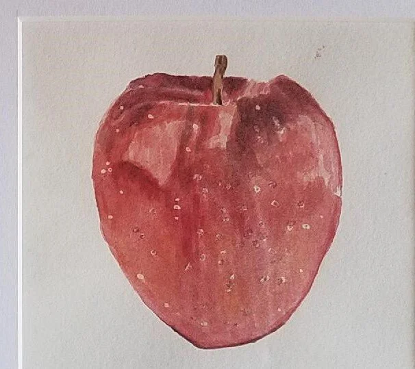 red delish watercolor.jpeg