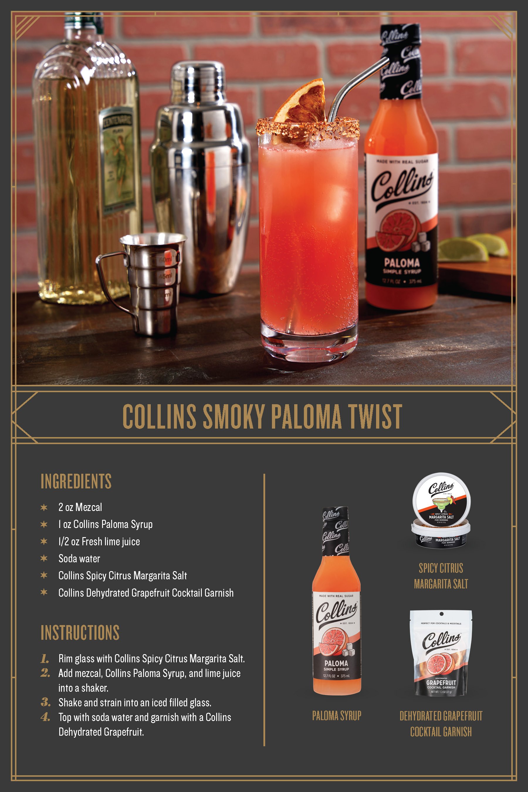 Collins_Press Influencer One Sheet_6x9_Page_2.jpg