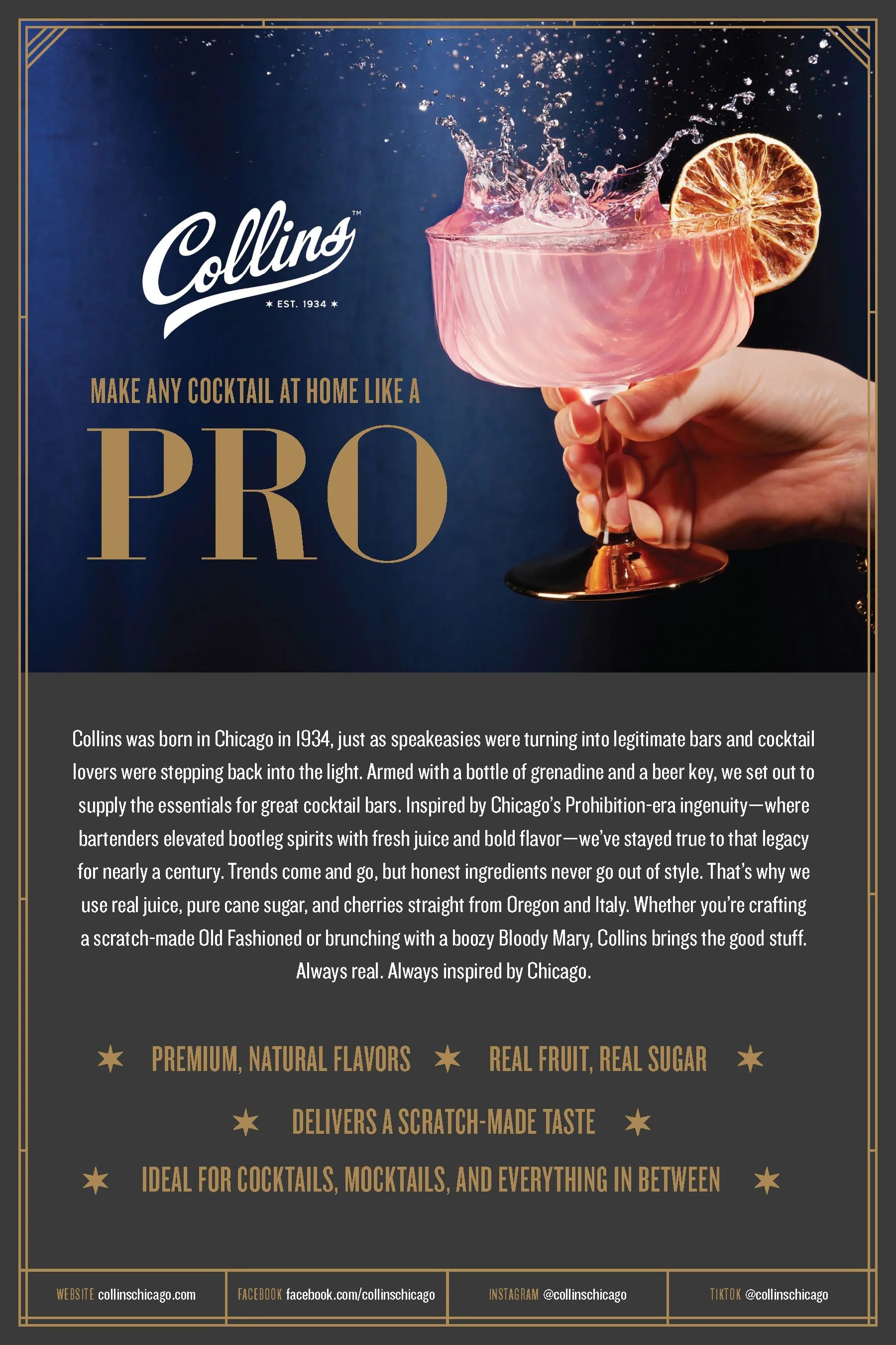 Collins_Press Influencer One Sheet_6x9_Page_1.jpg