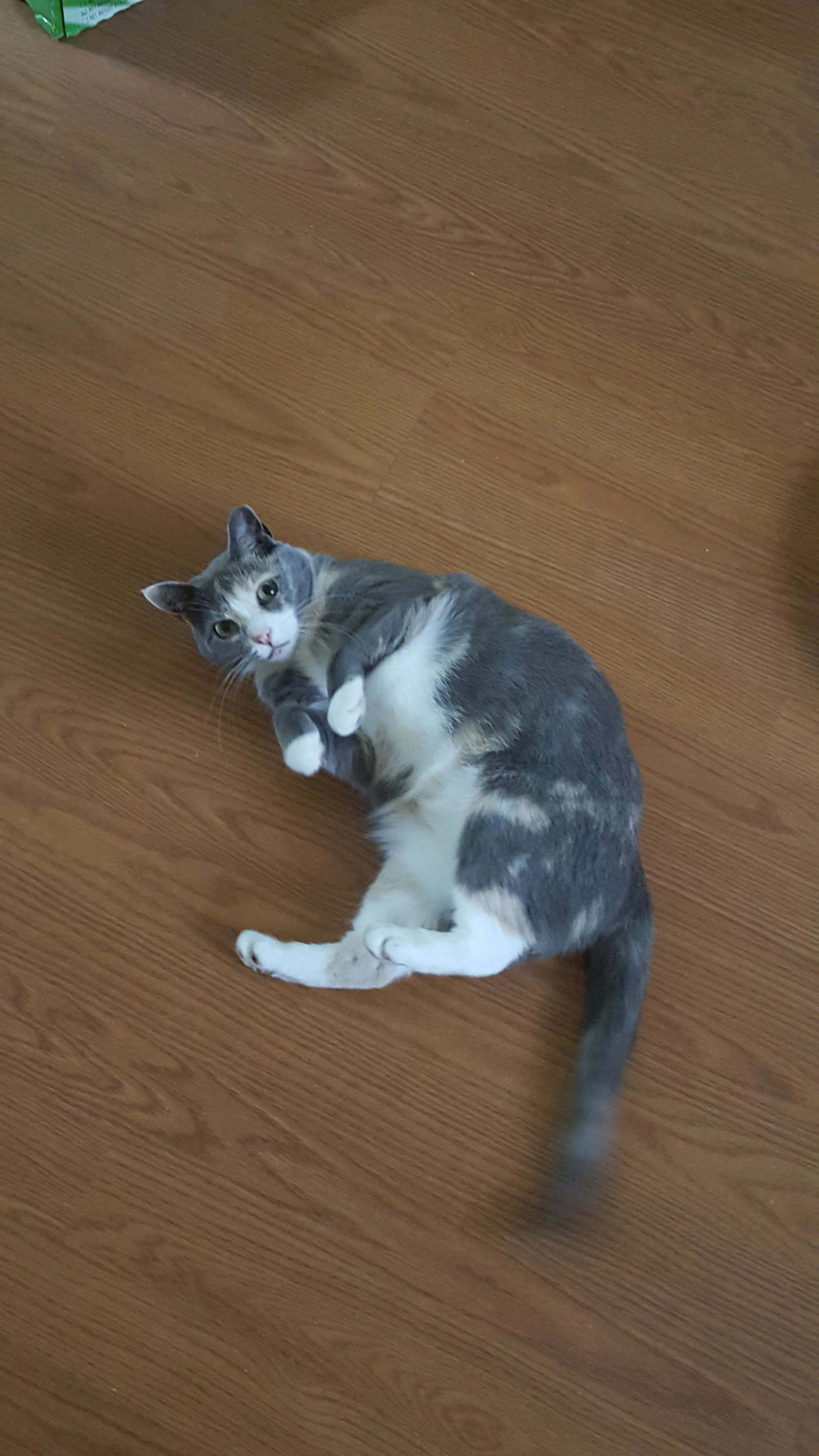 20170811_173411.jpg