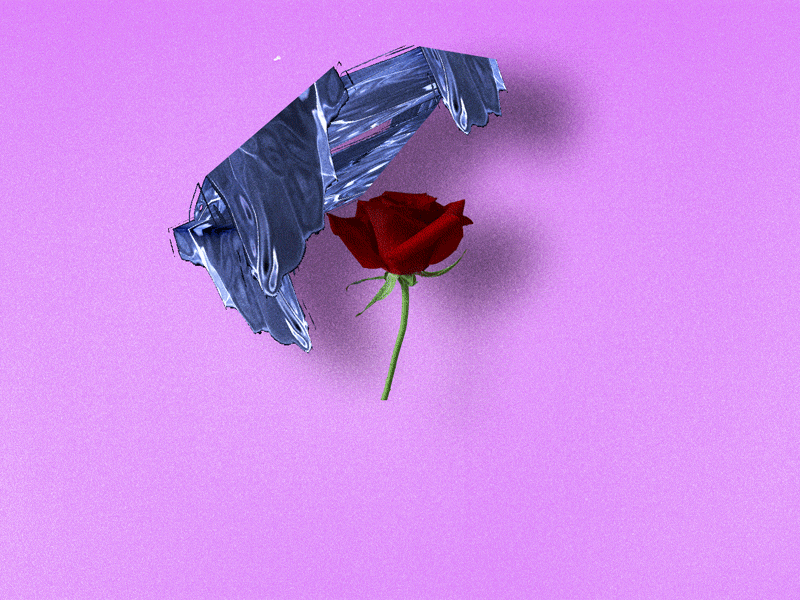 not-a-stilllife.gif