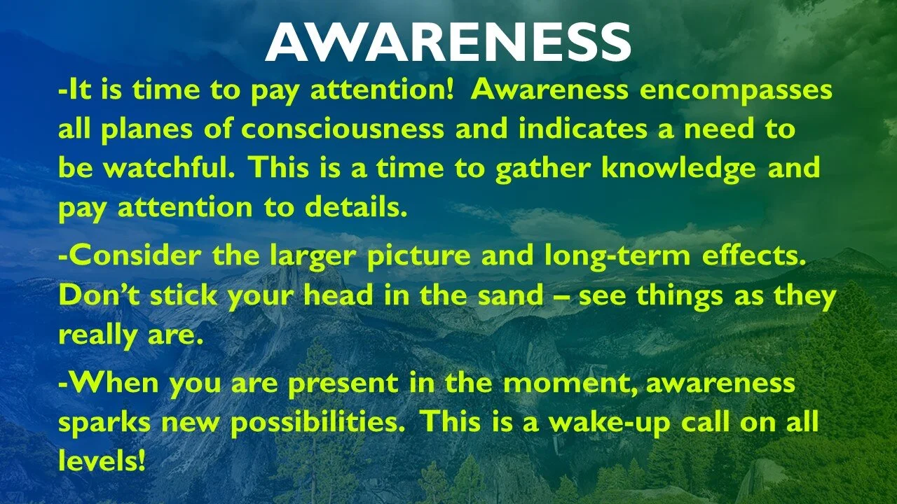 Slide6.JPG