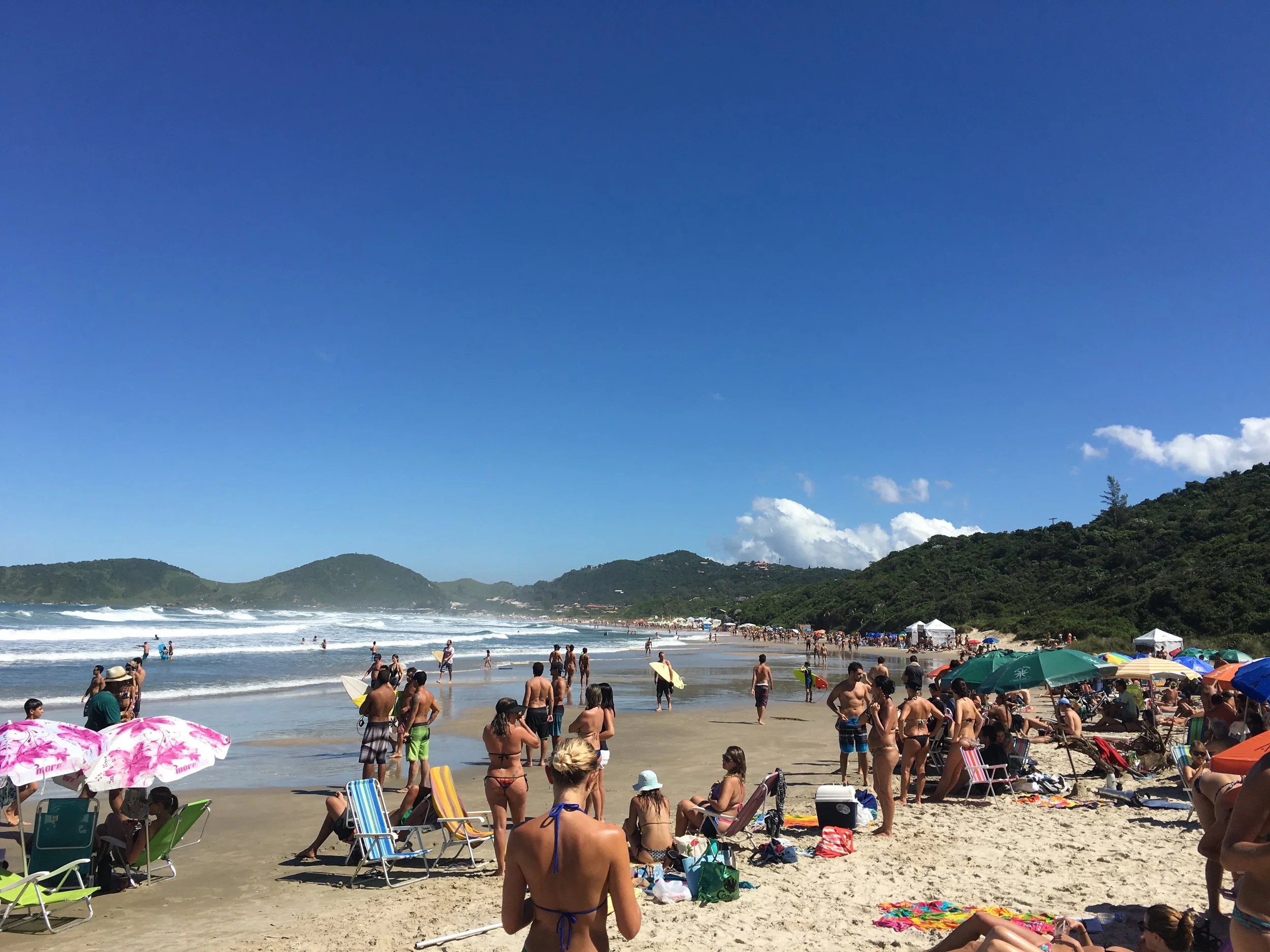 BRAZILOPTION2.jpg