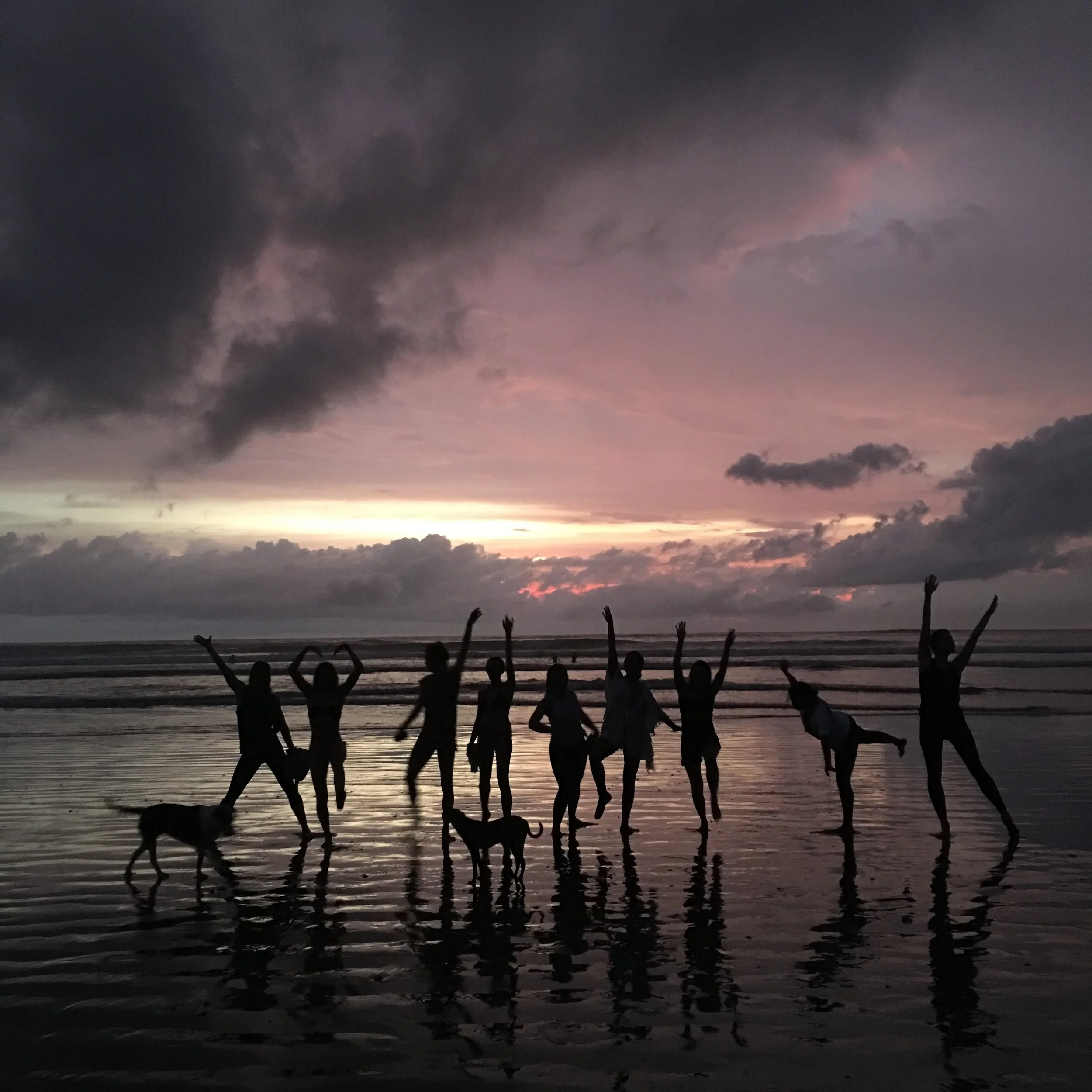 When the plants look like this, you know things are alright