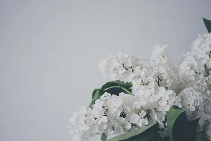 Photography: Veri Ivanova