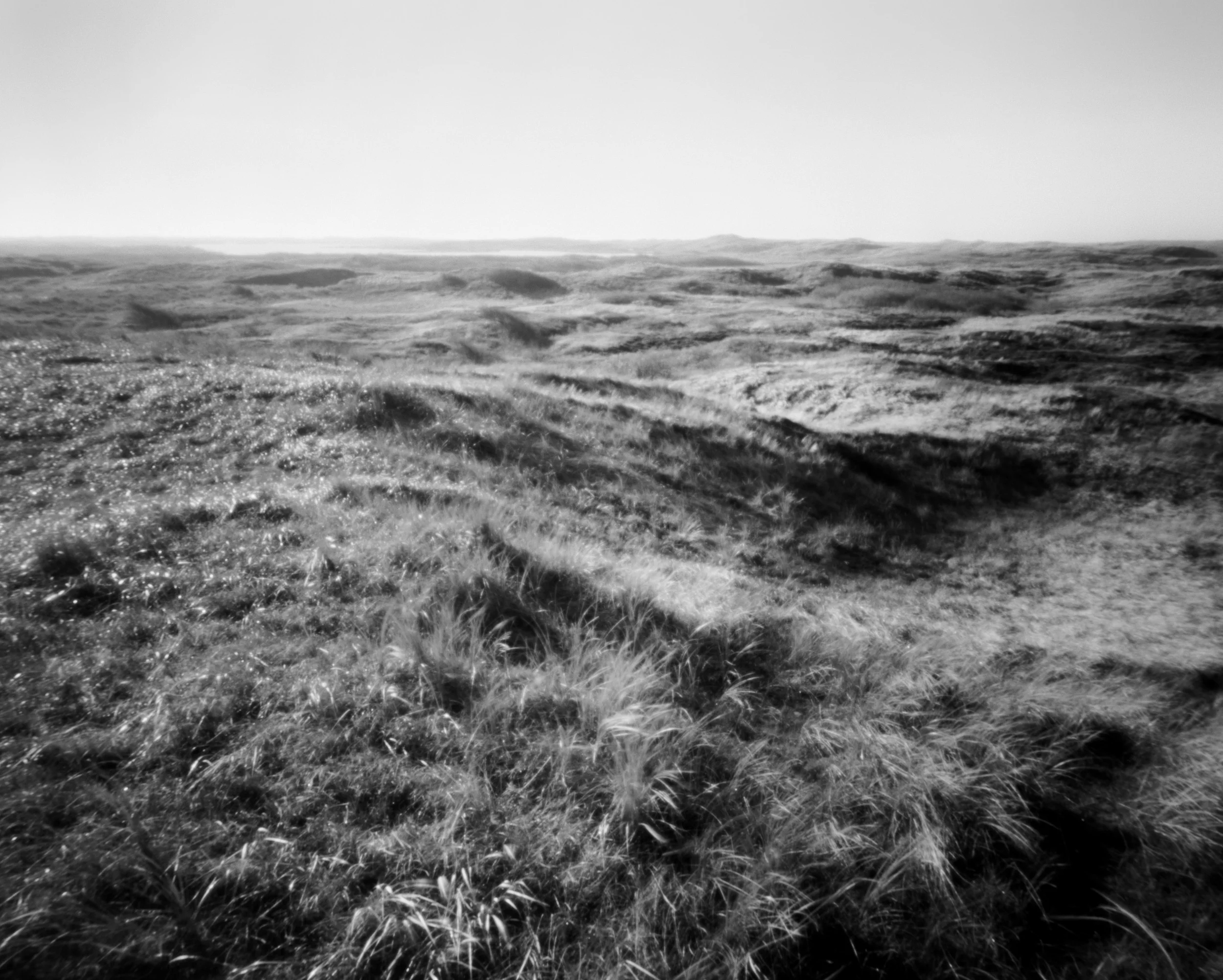 3_2010-empoignade4-72.jpg