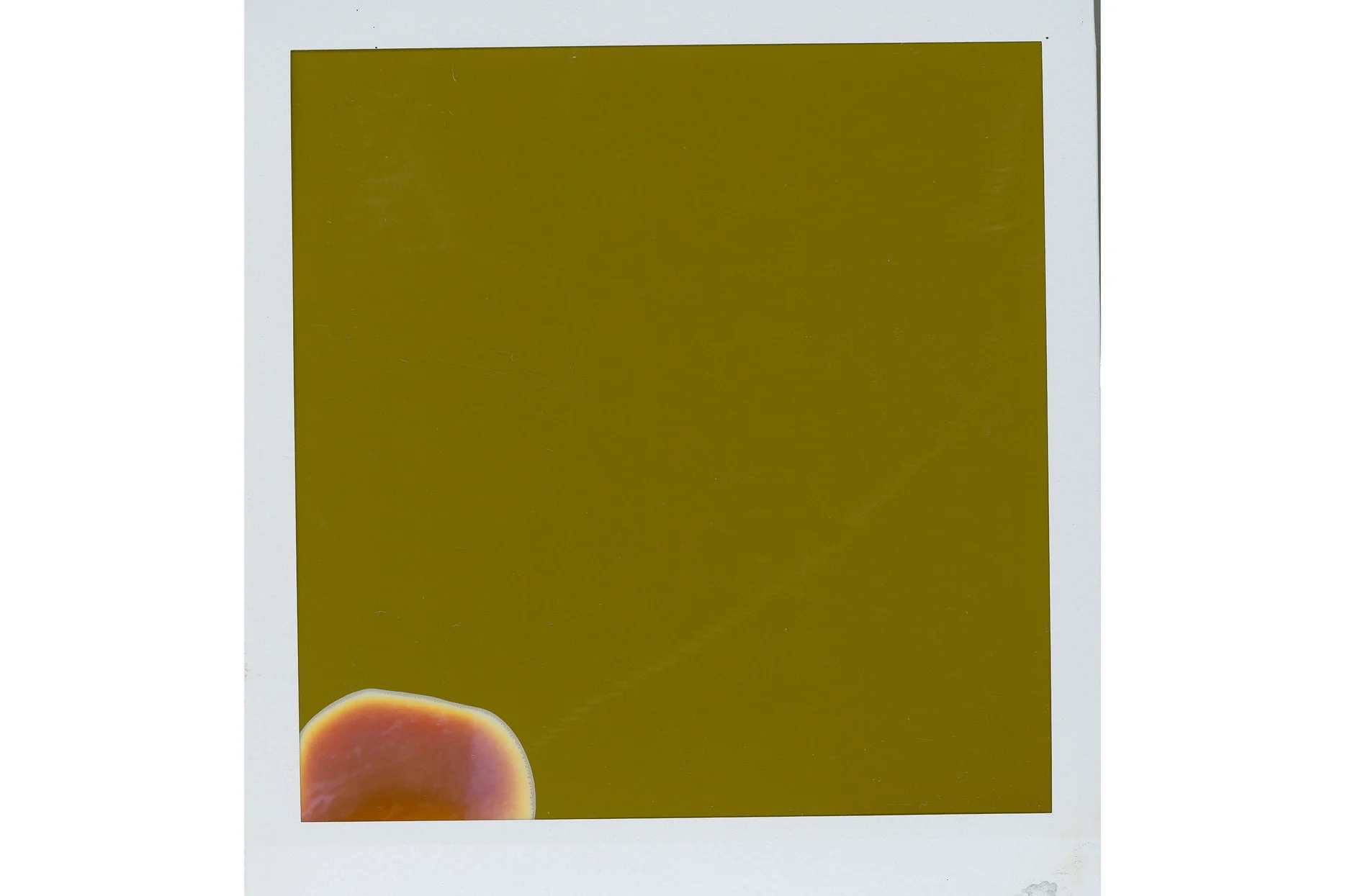 finalpolaroid01_Siteweb.jpg