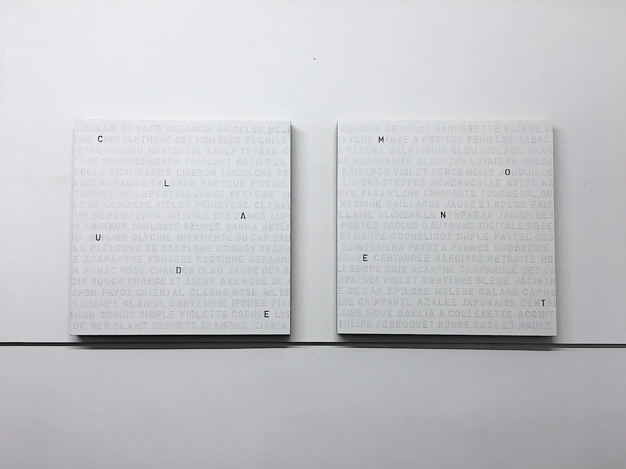 641 l'herbier chromatique de C.M., 2021.jpeg