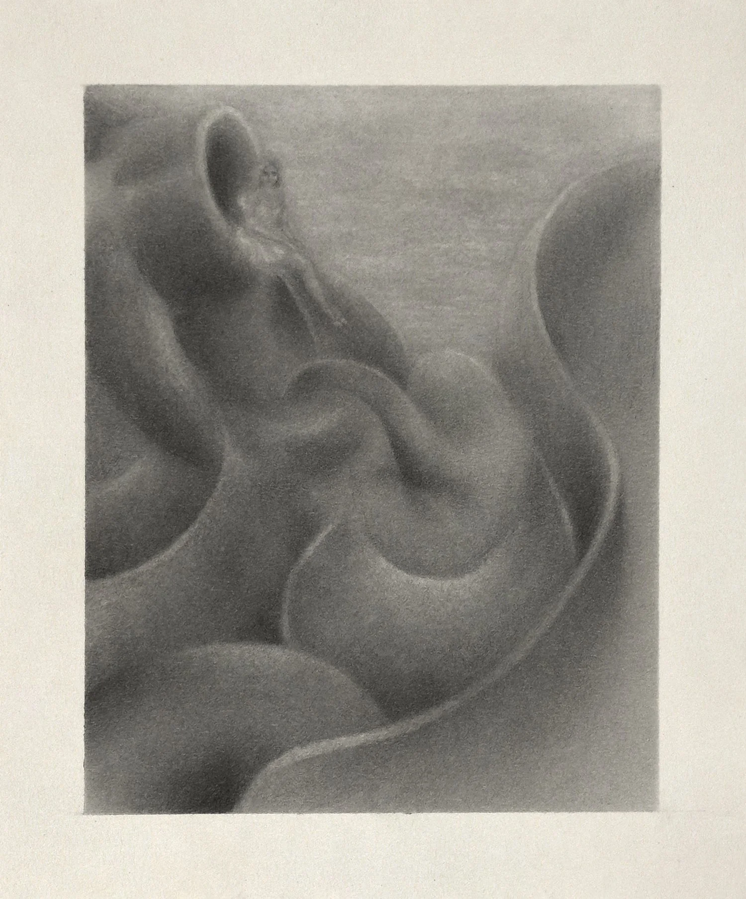  Arta Ajeti,  Minor Hallucination , 2025, Graphite sur papier, 18 x 15 cm 