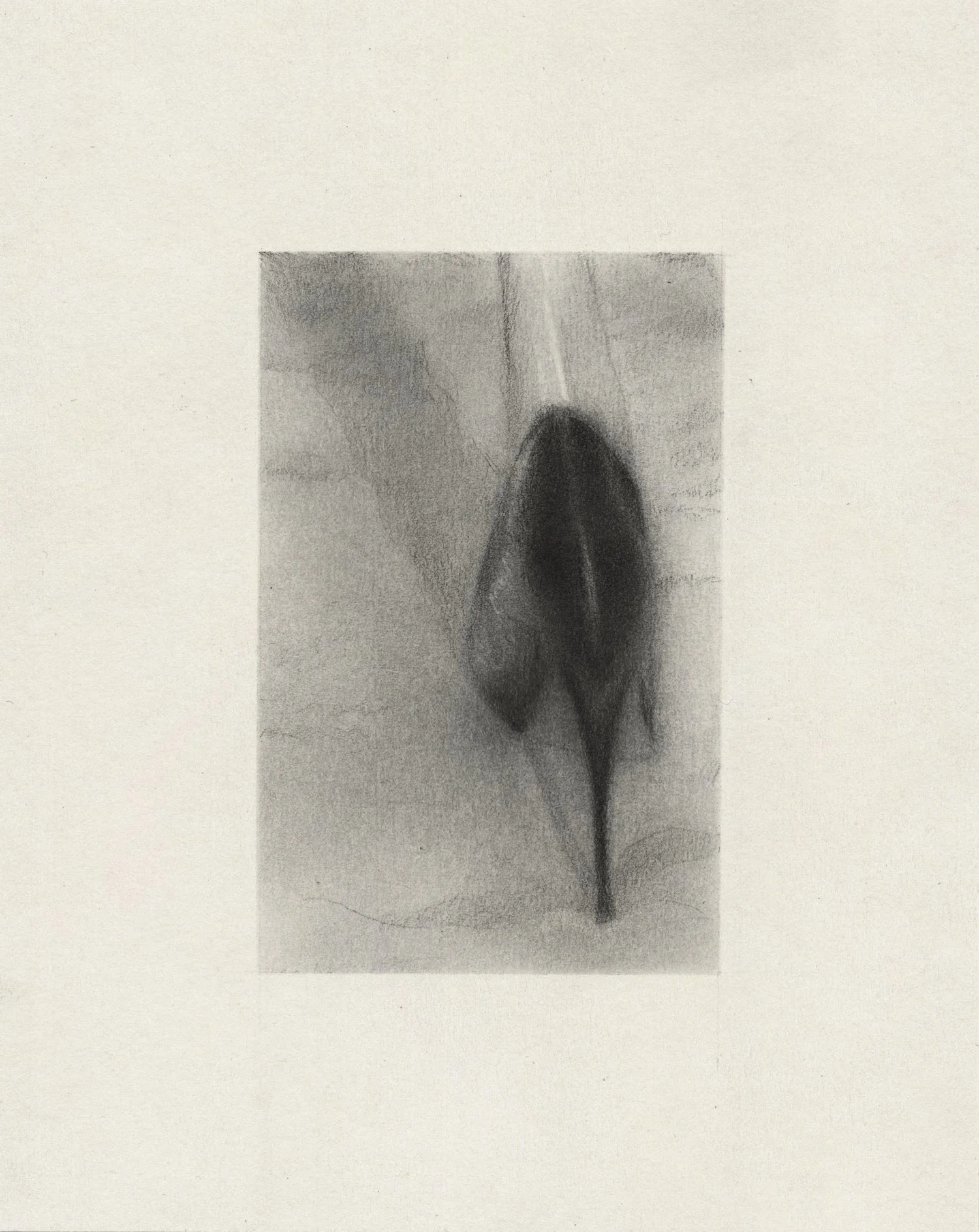  Arta Ajeti,  Pressure Point , 2026, Graphite sur papier, 17 x 13.5 cm 