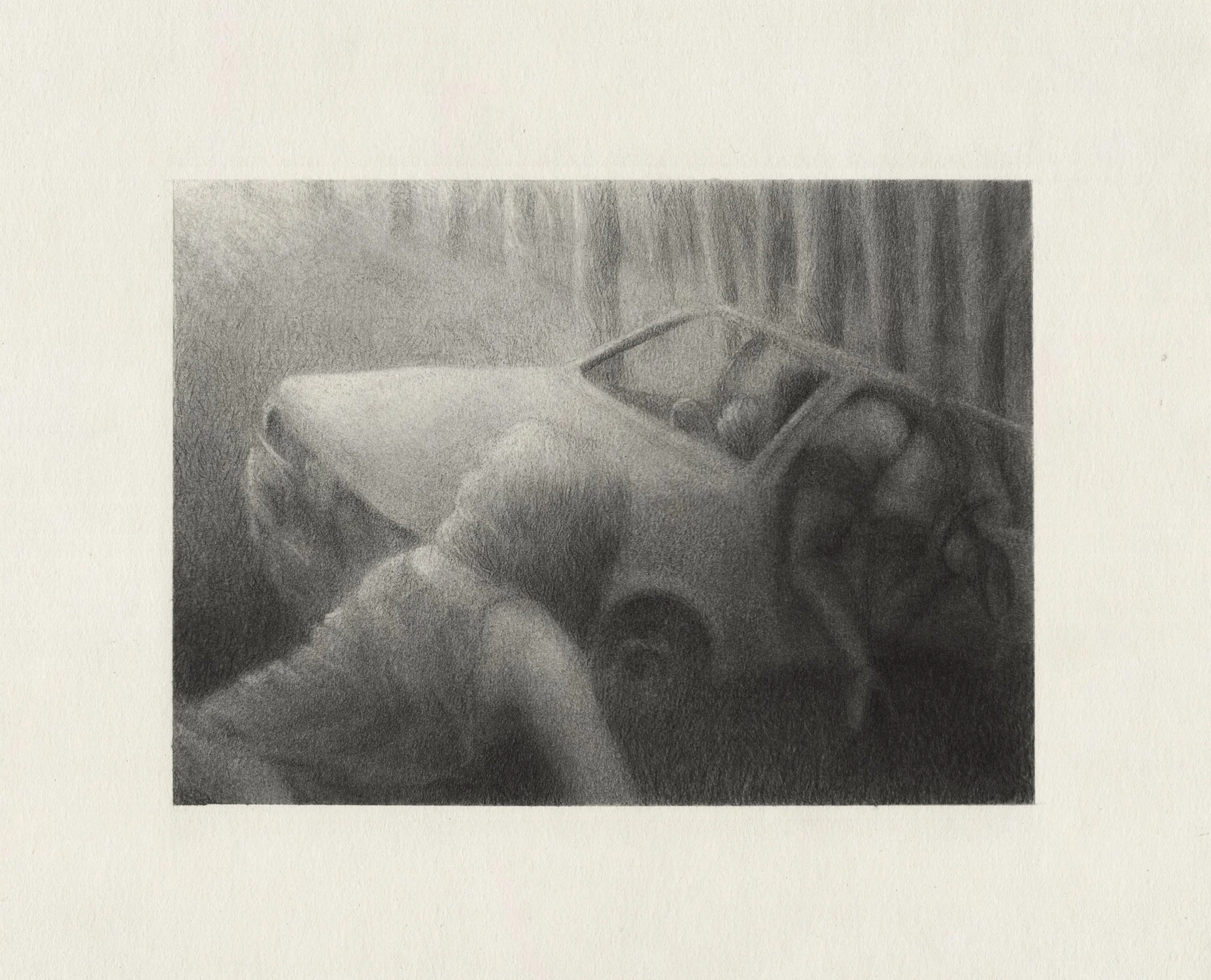  Arta Ajeti,  Purely Organic Instincts , 2026, Graphite sur papier, 19 x 23 cm 