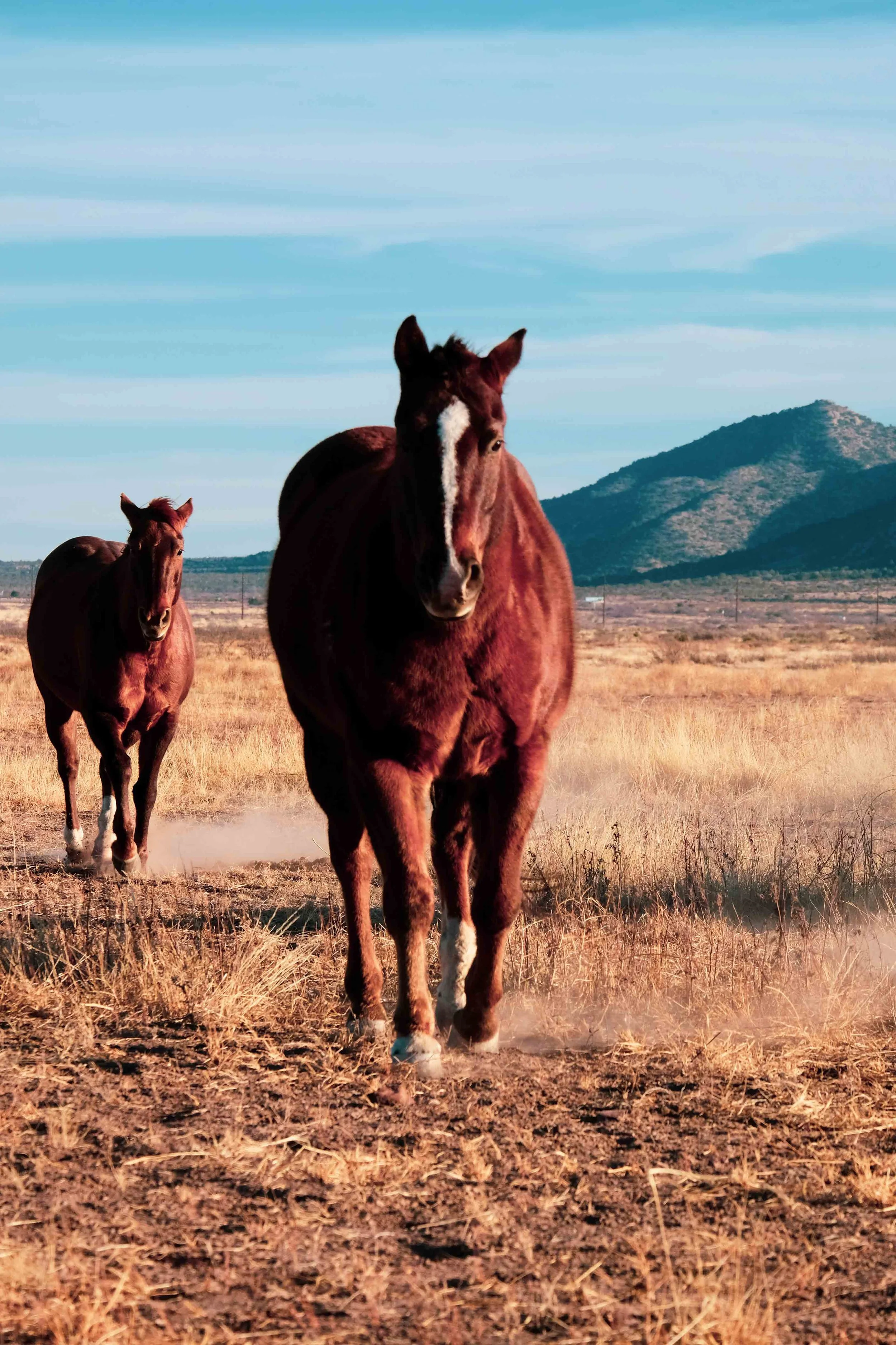 Ranch Gallery — Big Sky Productions