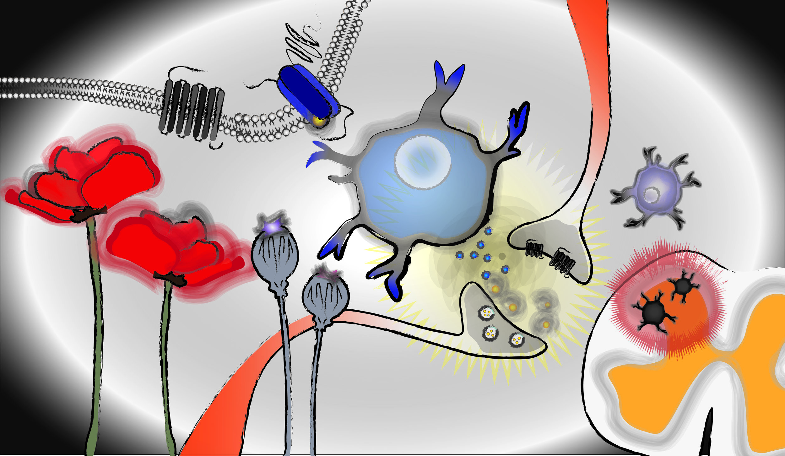 Website Illustrations_rev1-07.jpg