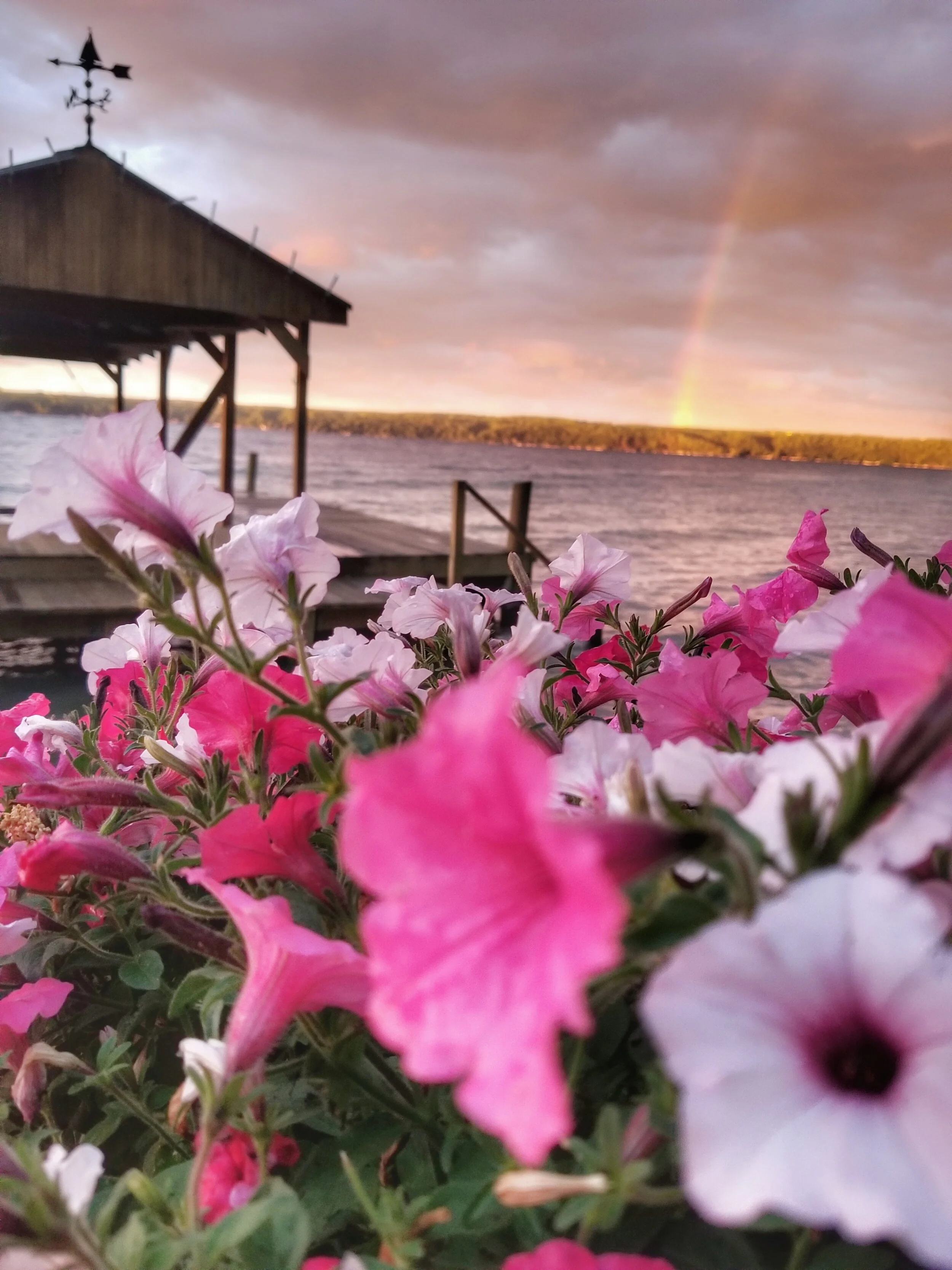 the beehive inside my heart