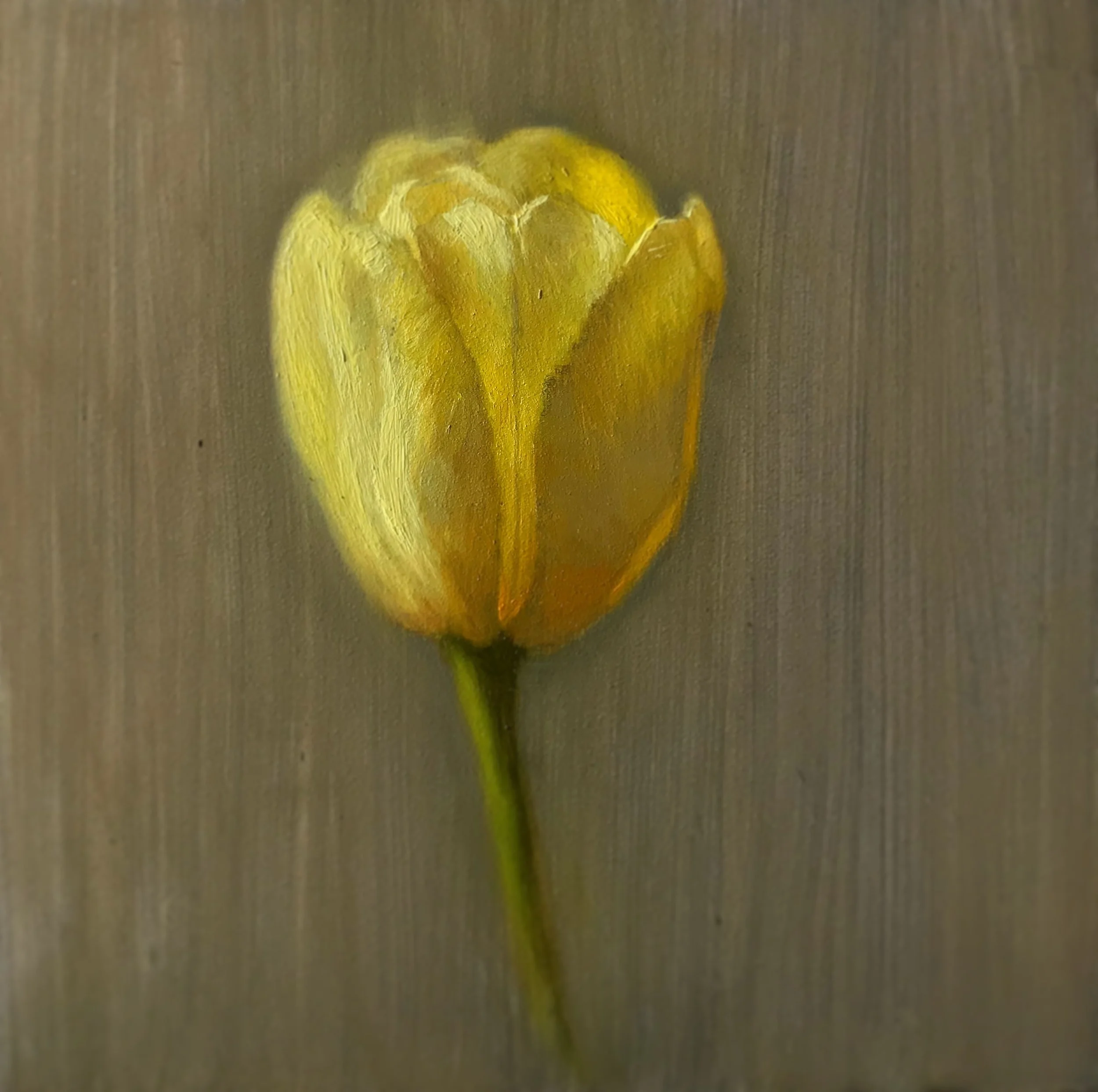 tulip 2.jpg