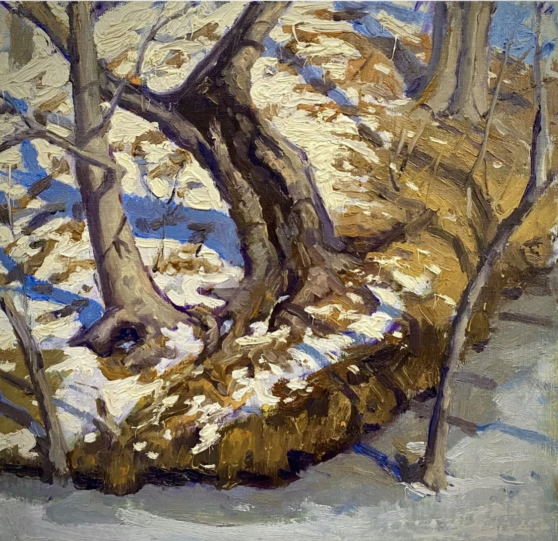 Frozen Creekside.jpg