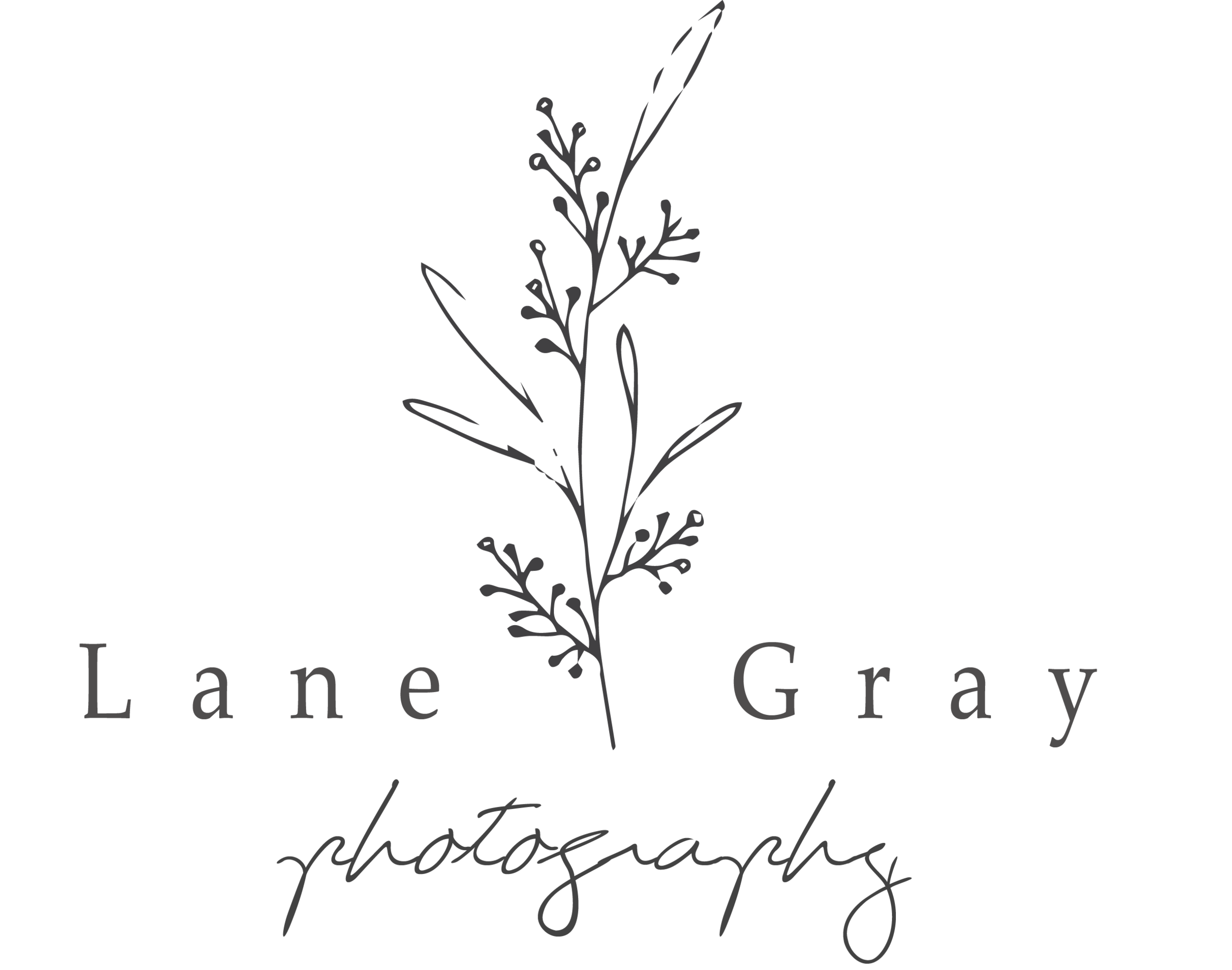 LANE GRAY PHOTOGRAPHY