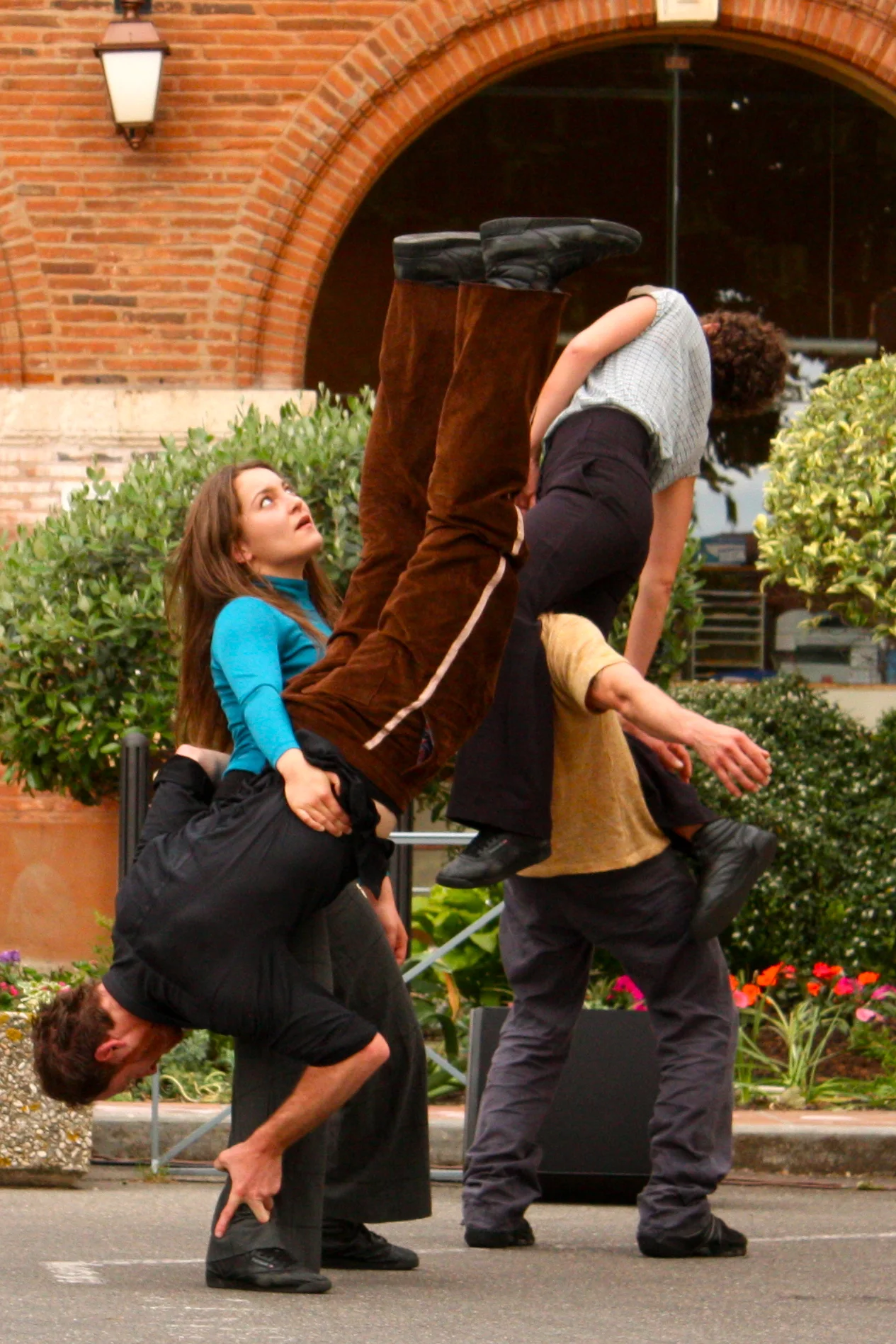 Cola de Gallo 1®Carlos Samaniego.JPG